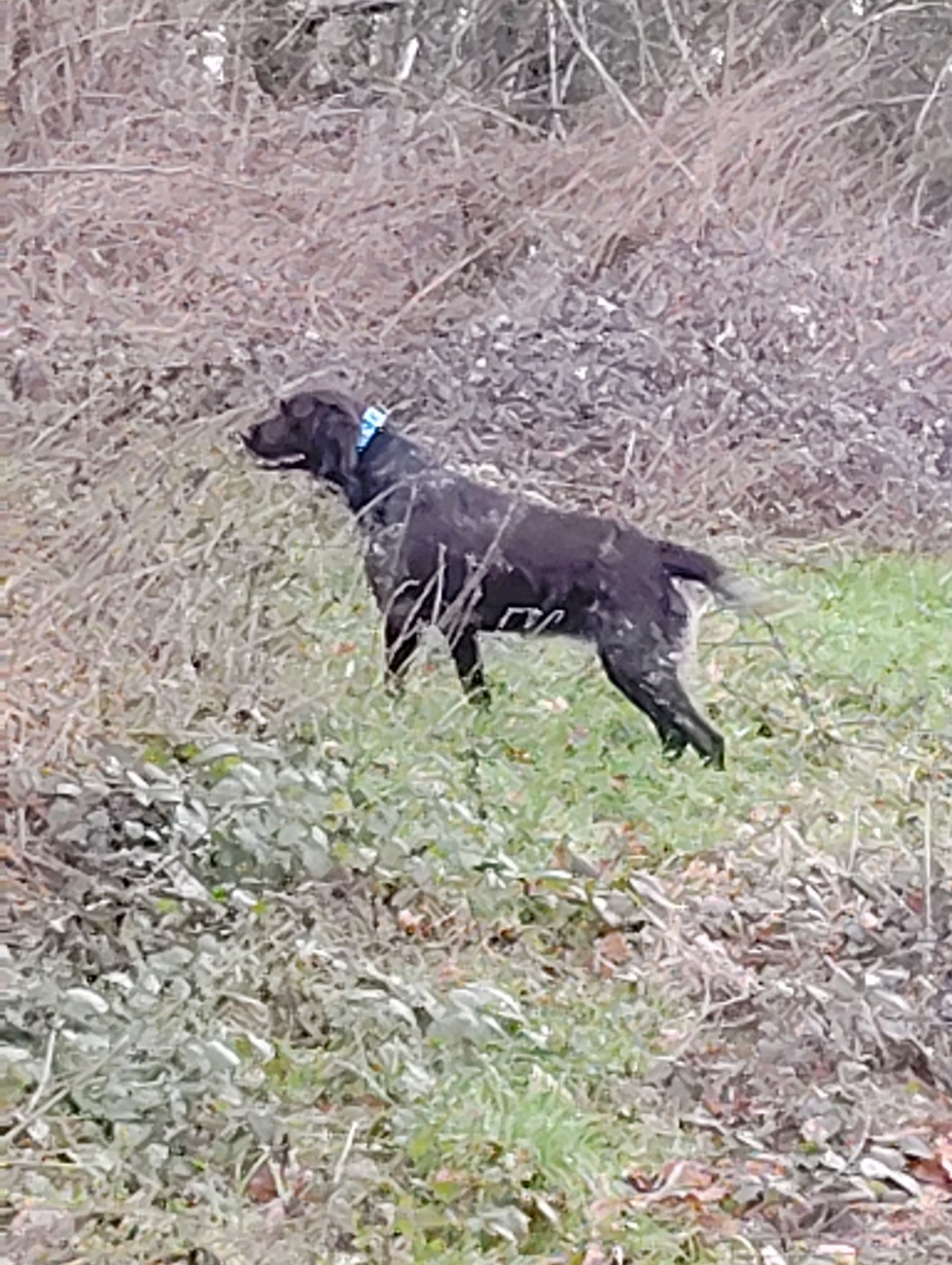 Utah Du Verger Du Pommerot