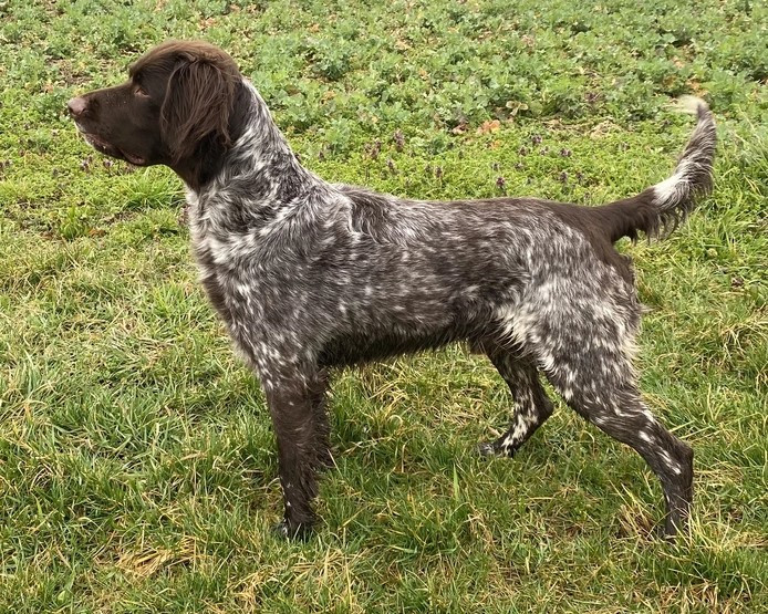 Scott Du Vieux Rochis