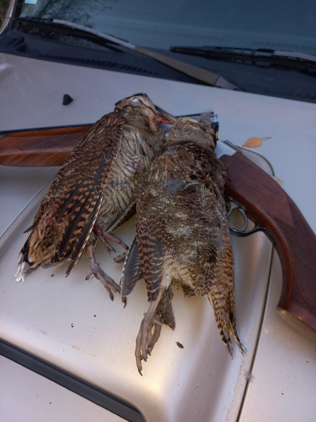 Mon deuxième pairon