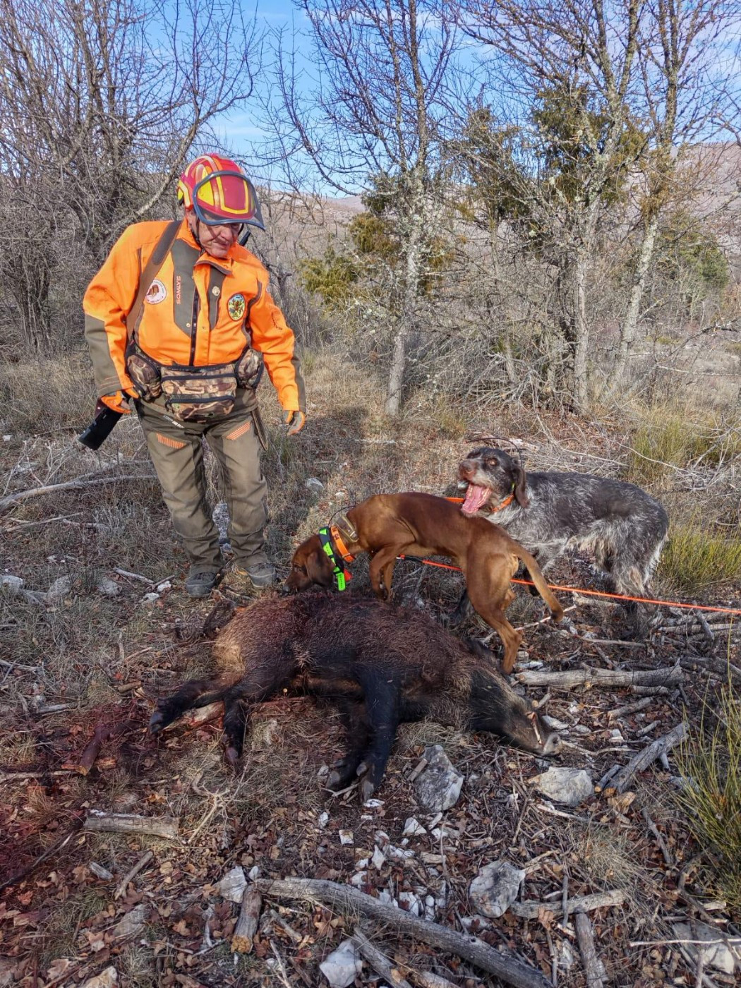 Ulk toujours au travail