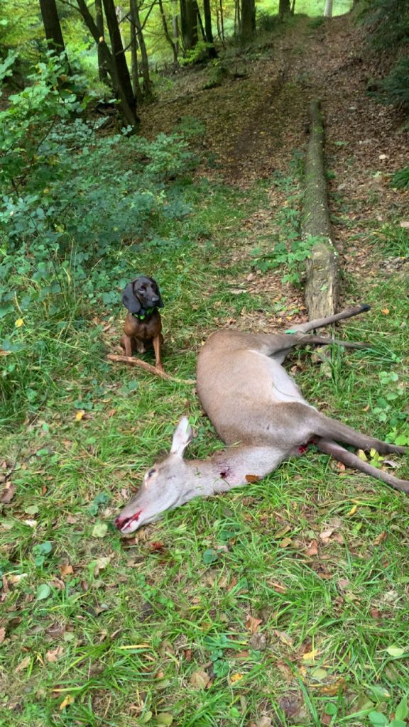 Des nouvelles de  Udhe