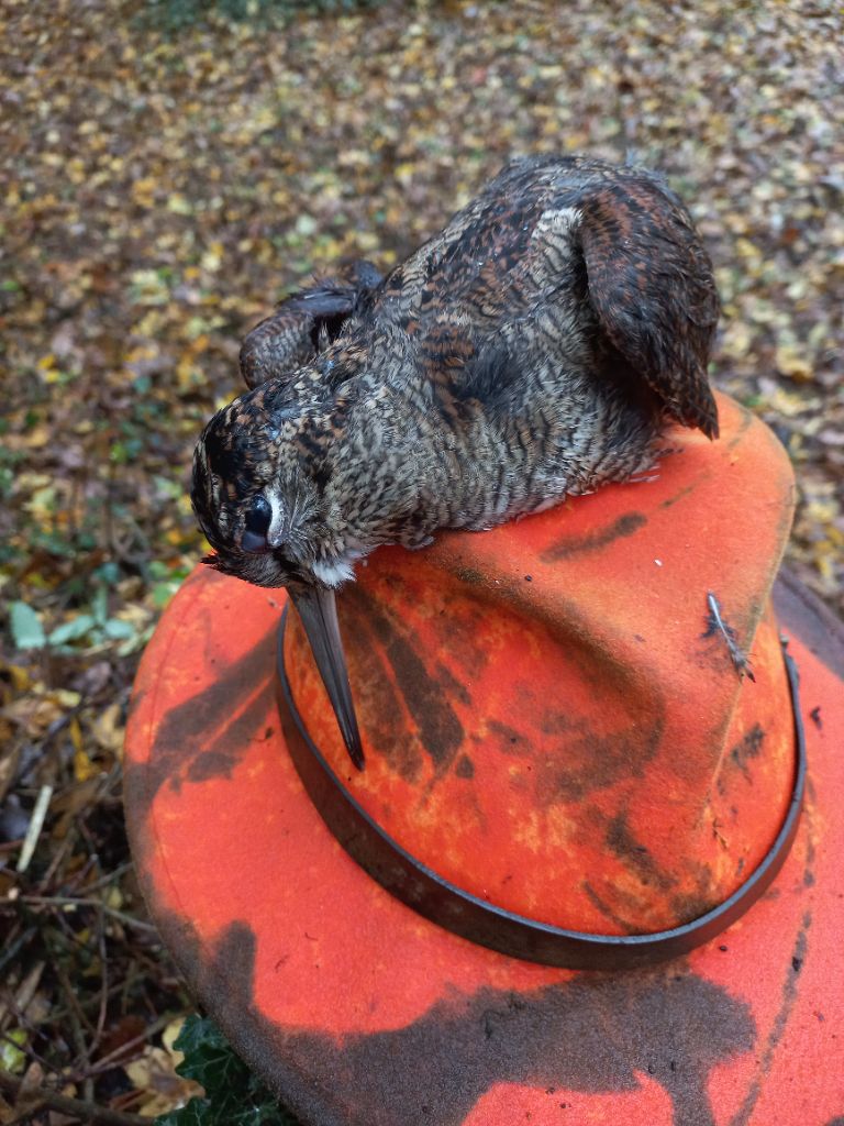 La première de la saison